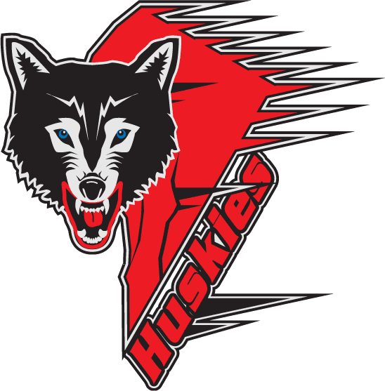 rouyn-noranda huskies 1996-2006 primary logo iron on heat transfer